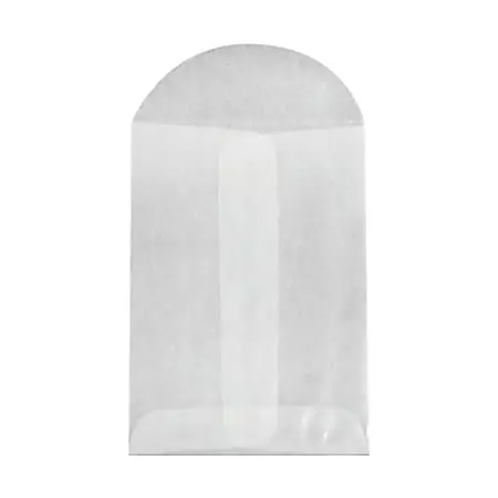 Viral LUX Coin Envelopes, #1, Flap Closure, Glassine, Pack Of 10