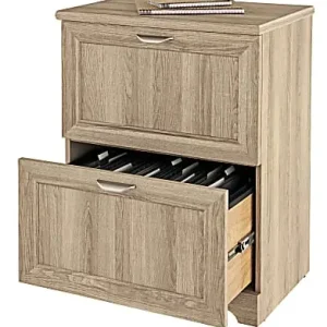 Latest Realspace&reg; Magellan 23-1/2"W x 16-1/2"D Lateral 2-Drawer File Cabinet, Blonde Ash
