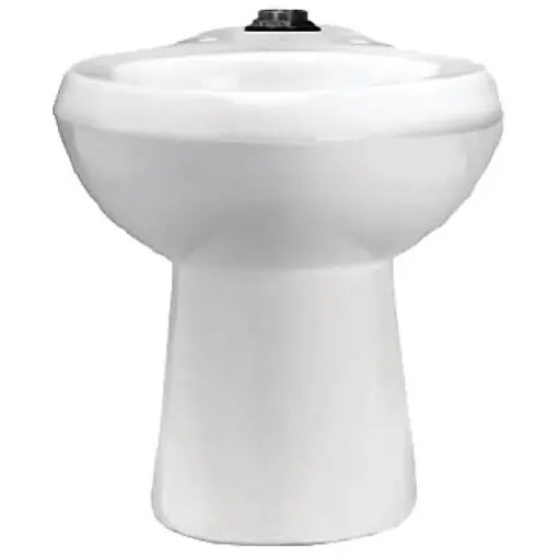 Secure Checkout Sloan Elongated Standard Height Toilet Bowl (2102009)