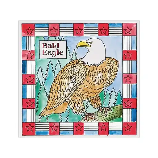 S&S Bald Eagle Painting, Multicolor, 12/Pack (GP3311) Trending