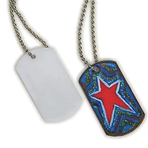 Free Shipping S&S Worldwide Color Me Dog Tag Necklaces, 50/Pack (CF-14136)