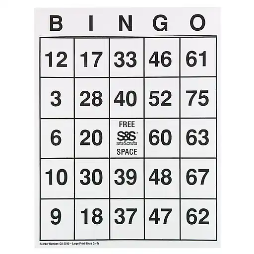 Luxury S&S Worldwide Large Print Bingo Cards, 25/Pack (GA2040)
