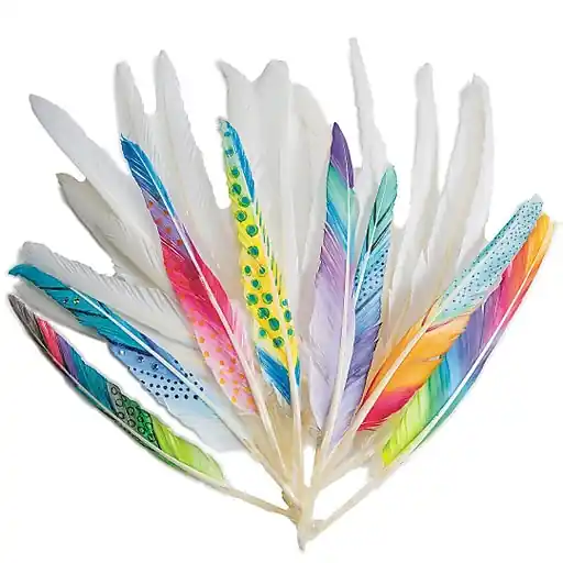 S&S Worldwide Long Quill Feathers White (TR285) Don’t Miss Out