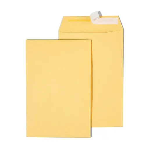 Staples QuickStrip EasyClose Kraft Self Seal #1 Catalog Envelopes, 6\\ Top Pick