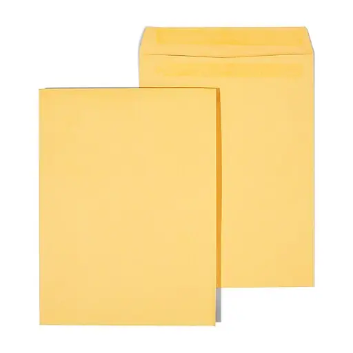 Best Price Staples Self Seal Kraft Catalog Envelopes, 9\\