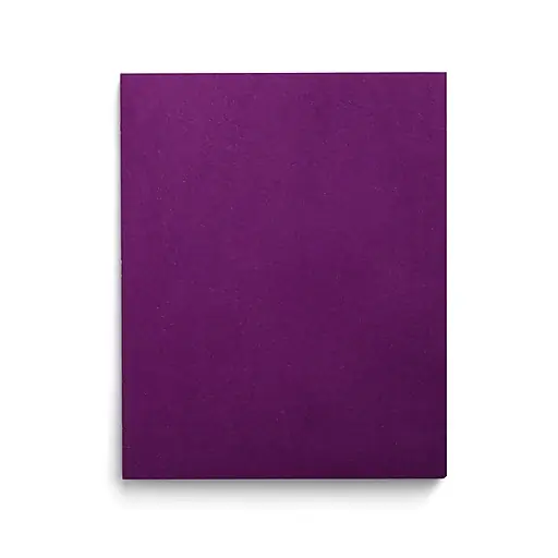 Genuine Staples Smooth 2-Pocket Paper Folder, Purple, 25/Box (27536-CC)
