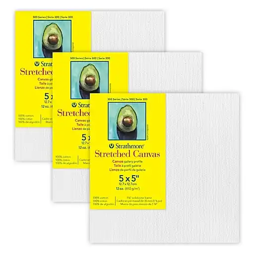 Strathmore 300 Series Primed White Stretched Canvas, 5\\ Today Only