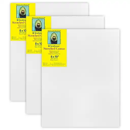 Strathmore 300 Series Primed White Stretched Canvas, 10\\ Price Drop