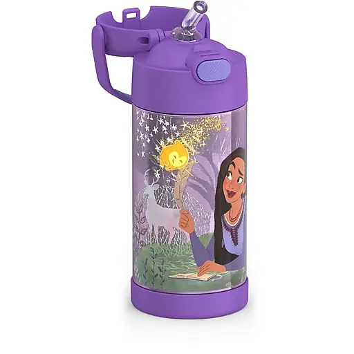 Authentic Thermos FUNtainer Disney's Wish Stainless Steel Vacuum Insulated Water Bottle, 12 oz. (EAF4103WI6)