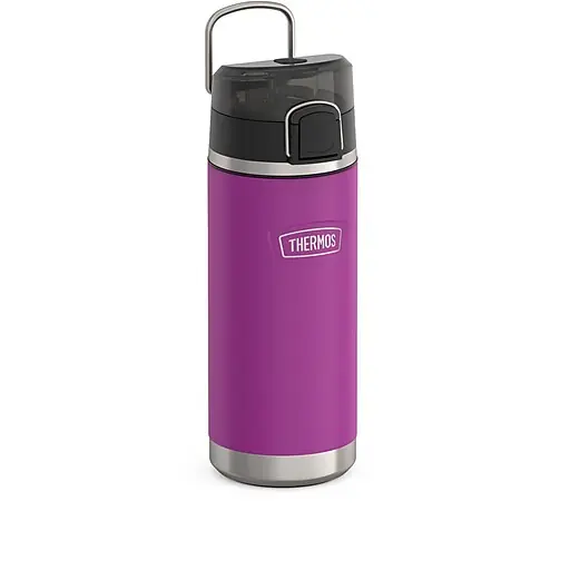 Thermos Icon Stainless Steel Vacuum Insulated Water Bottle, 18 oz., Plum (EAIS2504PL4) In Demand