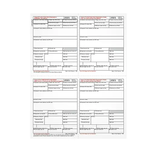 Adams Employee's Copies Cut Sheet 2025 W-2 Tax Form, 1-Part, Copy B, C, 2, 100/Pack (LW24UPALT100) Budget