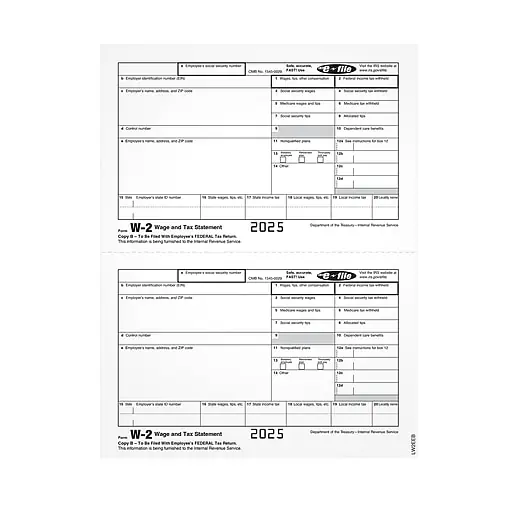 Adams 2025 W-2 Tax Form, 1-Part, Copy B, 100/Pack (LW2EEBQ) Flash Sale