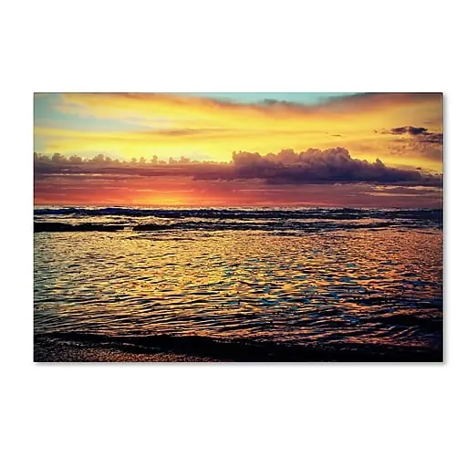 Trademark Fine Art BC0131-C3047GG \\ Today Only